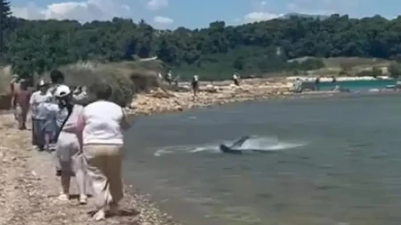 Panika u omiljenom srpskom letovalištu: Morska neman više puta viđena u plićaku – kupači bežali iz mora!