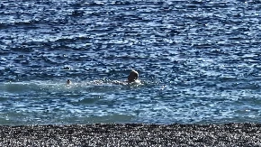 Opušteno zaplivao na popularnoj plaži, pa ugledao ovo u vodi Zanemeo je od šoka i mogao da uradi samo jedno 