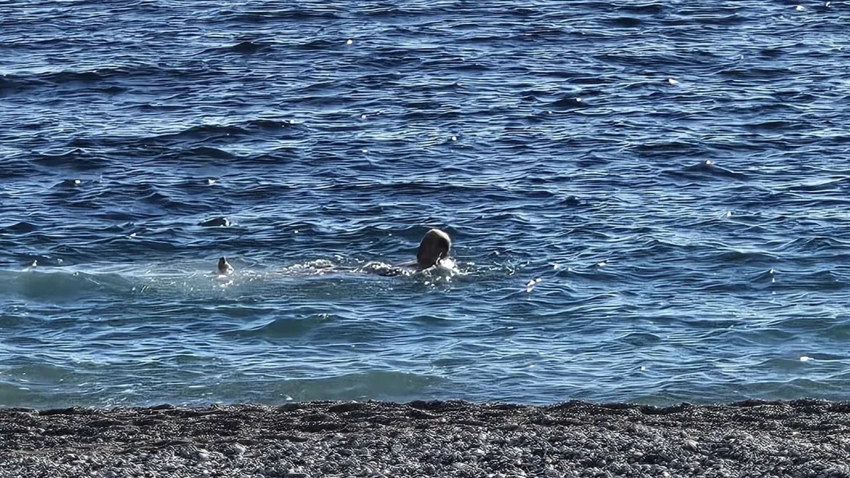 Opušteno zaplivao na popularnoj plaži, pa ugledao ovo u vodi Zanemeo je od šoka i mogao da uradi samo jedno 