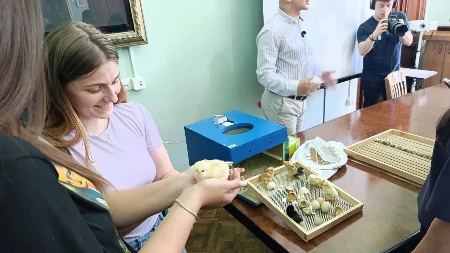 Pilići se izlegli pred đacima: U učionicu doneo inkubator, pa im ponudio posao bez rizika