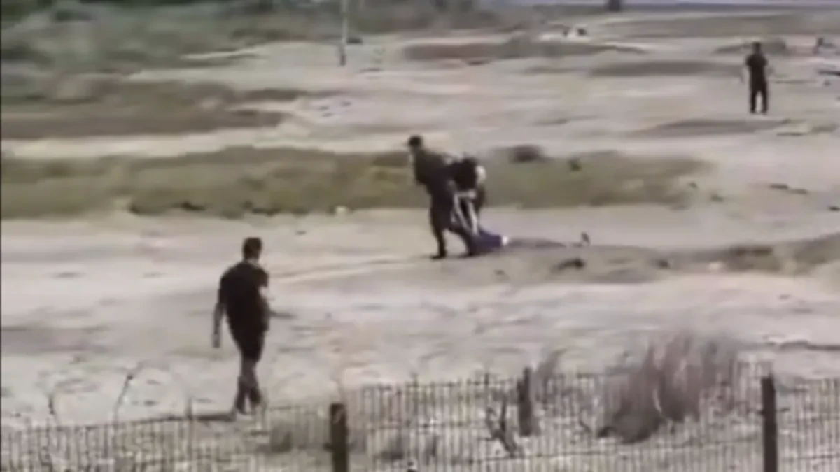 Gde je sada Picula da reaguje? Evo kako izgleda prava policijska brutalnost, ali u Francuskoj i Albaniji!(VIDEO)
