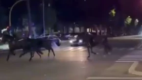 Haos na ulicama Rima: 30 konja trčalo glavnim gradskim ulicama, vozači trljali oči u neverici