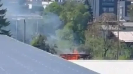 VELIKI ŠUMSKI POŽARI U NEMAČKOJ Sunce prži tlo Evrope