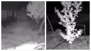 Jezivi snimak zemljotresa u Somboru: Psi su zalajali, a onda je počelo da se trese tlo!