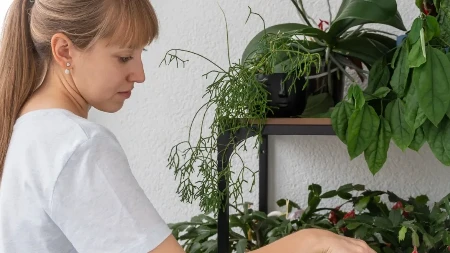Zalivajte biljke na ovaj način i ojačajte im koren: Dobro je i protiv komaraca
