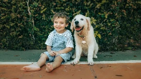 Ne treba mu jastuk kad ima ljubimca Prizor raznežio ljude na mrežama