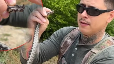 “Da li je normalan?!” Influenser iz Bosne golim rukama hvatao zmijurinu - ljudi u šoku gledaju snimak!