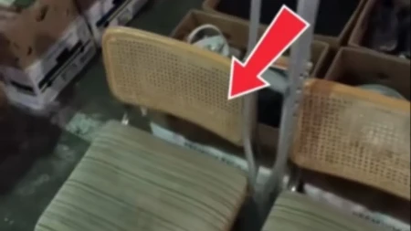 Neverovatan ulov na buvljaku u Novom Sadu: Platio stare stolice 130 evra, pa otkrio da vrede bogatstvo!