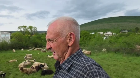 U Nemačkoj je zaradio penziju, pa se vratio u Hercegovinu da čuva 500 ovaca