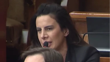 "Priština je nesposobna da nešto uradi sama" Nikolić oplela i po Kurtiju: "On i njegova megalomanska obećanja..."