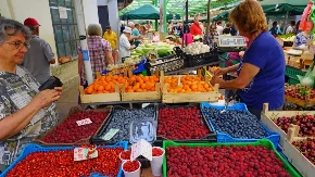 Japanska nutricionistkinja jede samo ovo voće, jača imunitet baš, baš: Koje namirnice uvek treba da imate u kući?