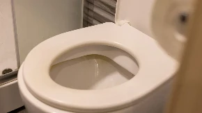 Ni trunka se neće osećati, ubija mirise iz WC šolje: 1 namirnica iz kuhinje neutrališe sve, nemojte samo preterati