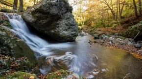 Skriveni raj Srbije - banja sa 37 izvora i noćenjem od samo 2.000 dinara 