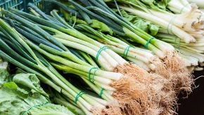 Svi bacaju ovaj deo mladog luka: U njemu ima 3 puta više vitamina nego u onom koji jedete
