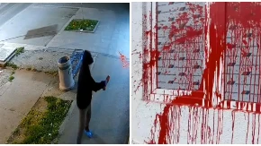 Vandalski napad na prostorije SNS u Dobanovcima: "Nasilje, mržnja i pokušaji zastrašivanja neće pobediti pristojnu i uspešnu Srbiju" (VIDEO)