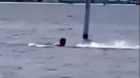 Krvava scena na otvorenom moru: Zver kidisala na ribara, jedva izvukao živu glavu - snimak ledi krv!