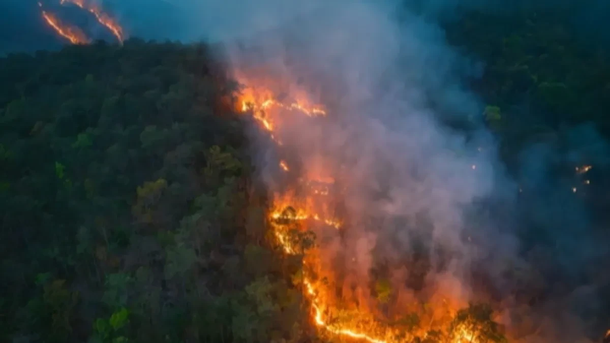 El Ninjo se vraća? Meteorolozi upozoravaju na opasan preokret, evo šta čeka Srbiju