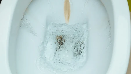 Vodoinstalater mu saopštio gorku istinu: Zbog zapušene WC šolje saznao da ga žena vara