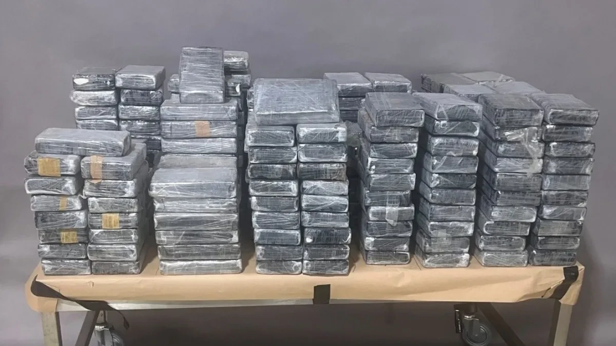 Zaplenjeno skoro 700 kilograma narkotika: Detalji saradnje srpske i nemačke policije (FOTO)