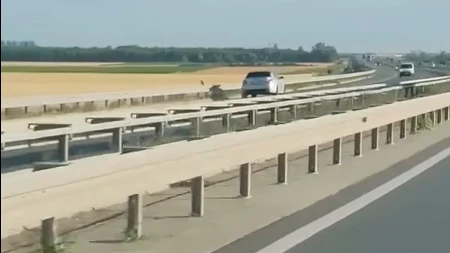 Šta je ovim ljudima u glavi: Vozač bmw-a na auto-putu kod Obrenovca brzo vozio u suprotnom smeru, tragedija izbegnuta za dlaku