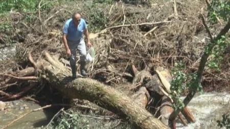 Olujno nevreme nosilo puteve: Grad napravio haos u Ivanjici, drveće iščupano iz korena