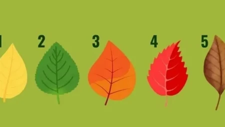Da li ste rođeni vođa, kreativac ili mudrac? Ovaj test otkriva odgovor za nekoliko sekundi