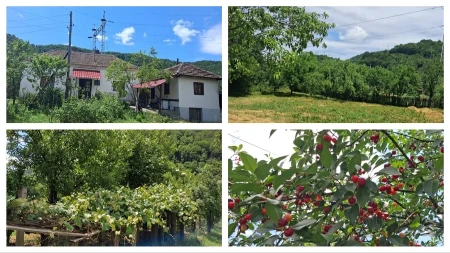 Dve kuće, dve bašte, voćnjak i povrtnjak - Marko sve prodaje za 25.000 evra