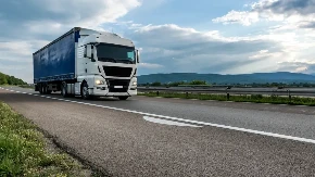 Drama na auto putu: 250 miliona pčela izletelo iz košnica nakon prevrtanja kamiona - usledio je pravi pakao