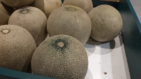 Jeste malo čudno, ali priđite nosem dinji, tako se prepoznaje da li je slatka ili ne: Još 1 stvar je važna za dobar izbor