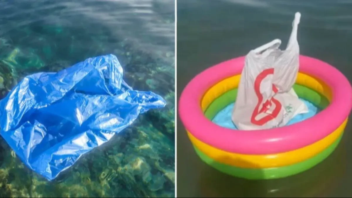 Svi pričaju o kesi koja pluta pored kupača: Trik sa plaže postao viralan, a mnogi se kunu u "balkanski metod"