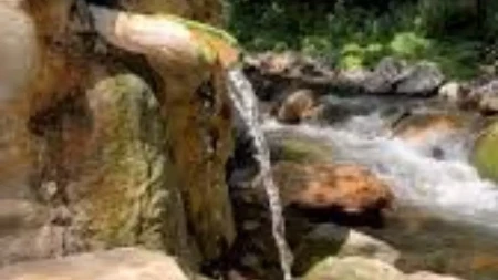 Ova banja je pravi biser Srbije: Priroda kao iz bajke, voda lekovita, a cena smeštaja za samo 1.000 dinara!