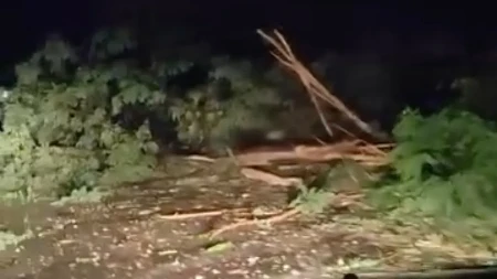 Grom napravio haos u Čačku! Ljudima pregoreli kućni aparati, eksplodirali ruteri! Nevreme divljalo bez milosti