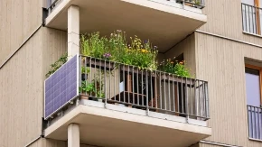 Za balkon kao iz bajke: Ove vrste cveća obožavaju sunce