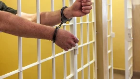 Krijumčario 35 migranata u kombiju, pa se zakucao u policijski auto: Indijac osuđen na zatvor