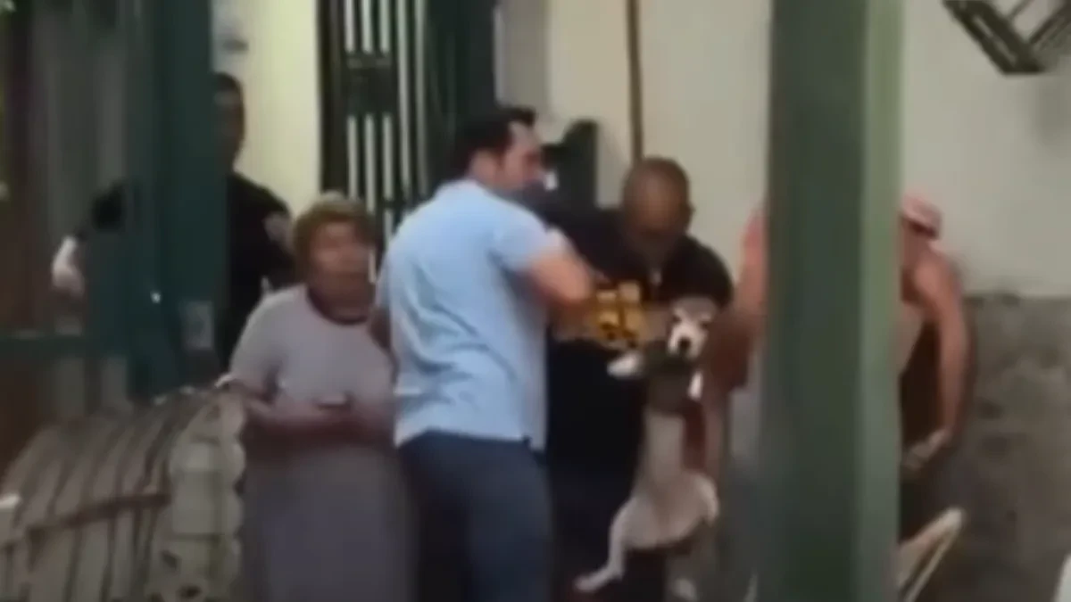 Čovek pokušava da izvuče ljubimce iz ruševina nakon razornog zemljotresa: Emotivan video obišao je planetu