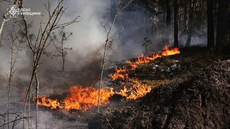 Izbio veliki požar u Orhomenosu u centralnoj Grčkoj, gasi ga 105 vatrogasaca