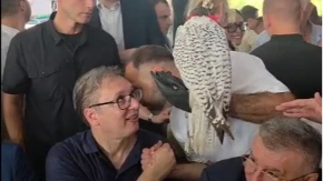 Klub Kraljevih Sokolara iznenadio predsednika Vučića: U Oplanićima i ženka arktičkog sokola (VIDEO)