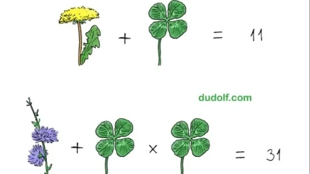 Samo najpametniji rešavaju ovaj zadatak za manje od 20 sekundi! Čak se i matematičari prevare
