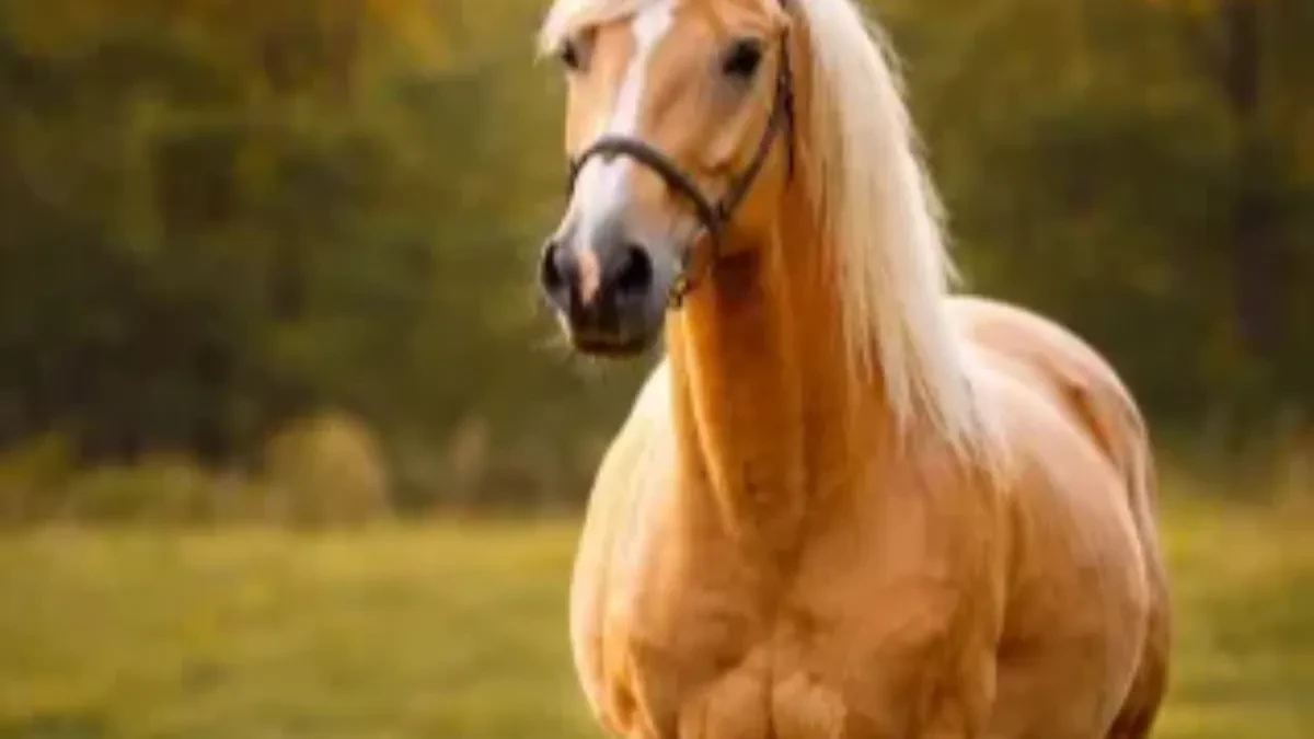 Kobila usmrtila veterinara tokom rada u štali! Kolege se opraštaju od omiljenog stručnjaka