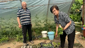 Dolazila sam kod njega zbog rasola: Baka Dobrija i deda Vladan otkrili tajnu braka dugog 66 godina