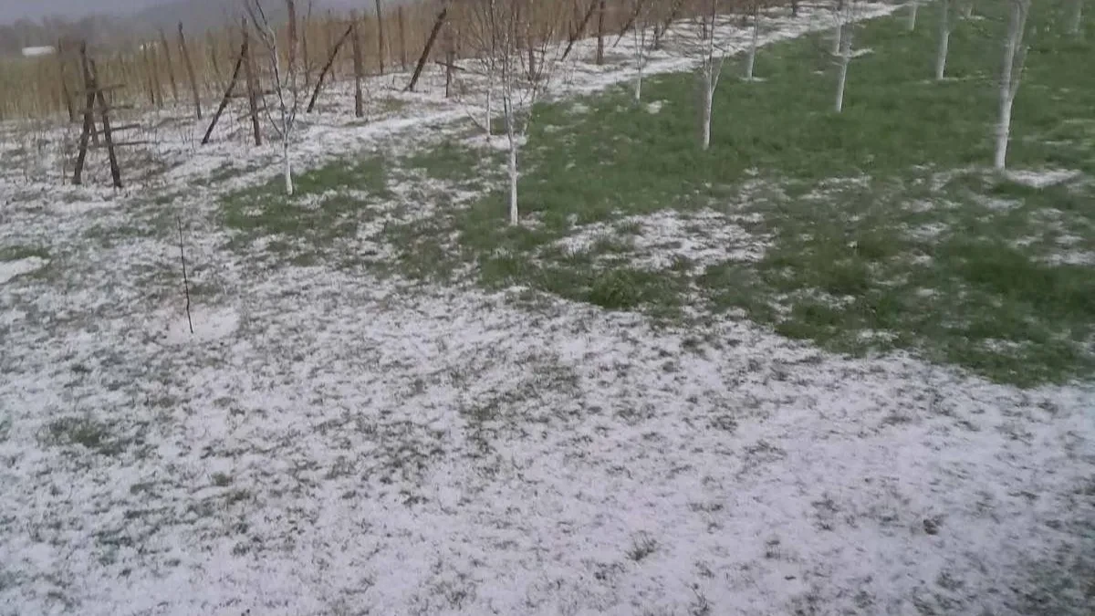 Olujno nevreme zasulo srpski grad! Zasule ih ledene kuglice, sve se zabelelo