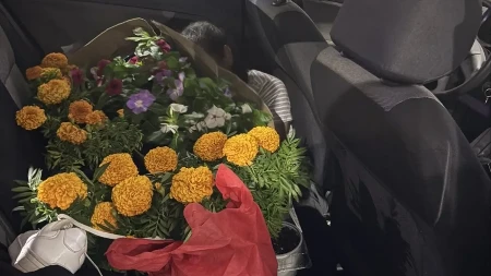 Belgijanac sakrio Marokanku među sedišta i zatrpao je cvećem: Uhvaćen pri krijumčarenju (FOTO)