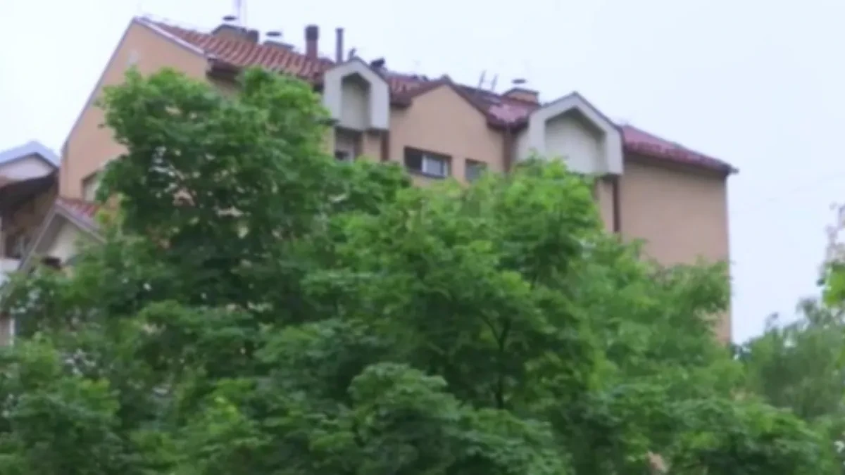 Požar na Bežanijskoj kosi! Stanari iz zgrade evakuisani