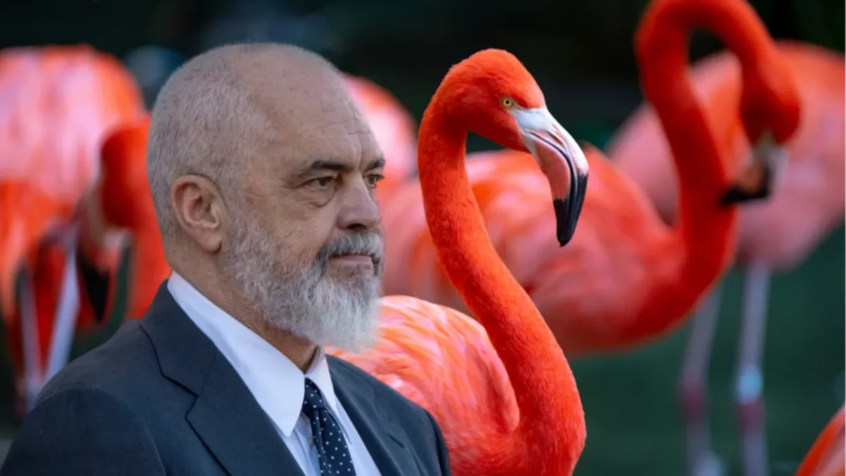 Rami zakuvali po blokaderskom receptu: Otkriveno odakle stiže novac za demonstrante!