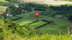 Nema novca za kuću, ali ima za parče zemlje - da li je sada pravi trenutak za kupovinu placa 