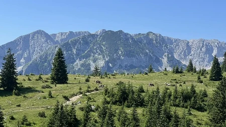 Evo koliko košta parče raja na Žabljaku: Ni centar nije daleko, a pogled “puca”
