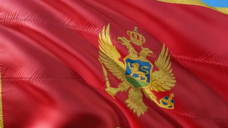 Bela knjiga o pokradenom referendumu: Kako je novcem od šverca cigareta i kokaina kupljena crnogorska "nezavisnost"
