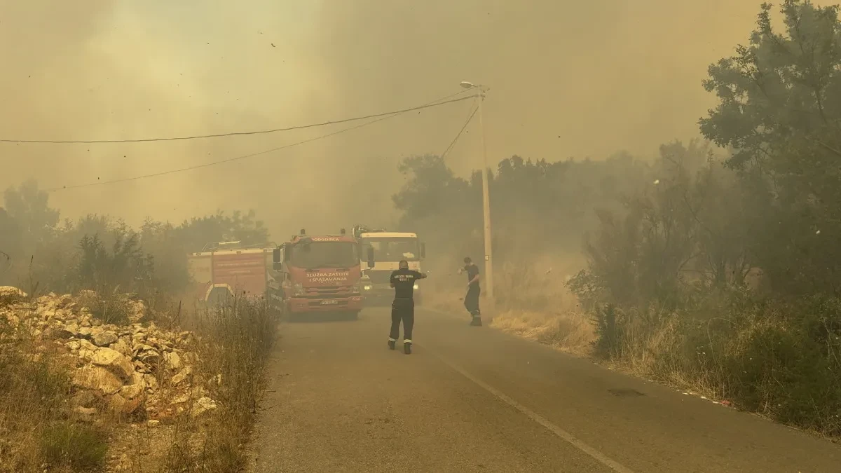 Crnoj Gori preti katastrofalno leto! Popaljeni alarmi, prošle godine je bilo i mrtvih!