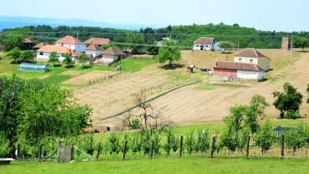 Opasna pojava na severu Srbije: "Pozlilo mi je samo od gledanja"