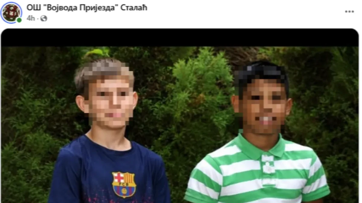 Škola tuguje za dečacima koji su se utopili u Moravi: "Bol se ne može opisati rečima!"